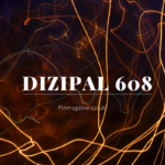 dizipal 6o8