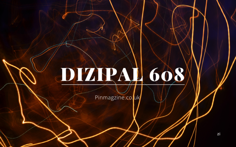 Dizipal 608