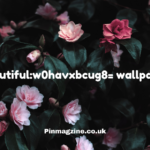 beautiful:w0havxbcug8= wallpaper