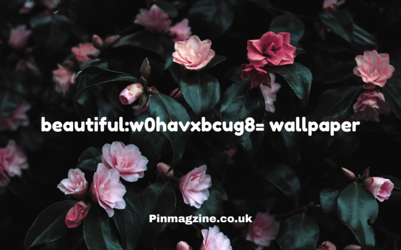 beautiful:w0havxbcug8= wallpaper